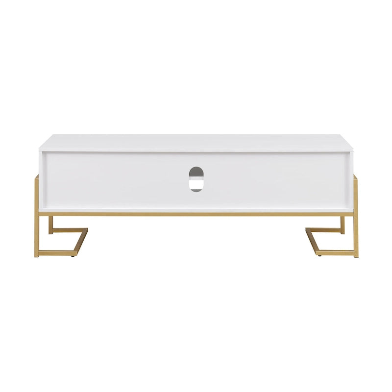 Contemporary Metal-Base 2-Drawer TV Stand