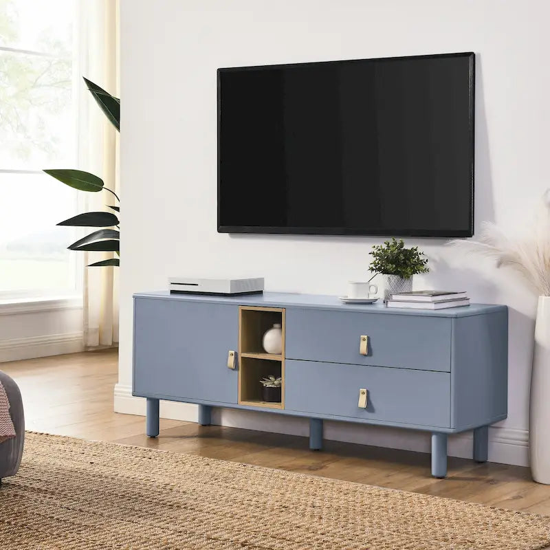 TV Cabinet with Door, Drawer & Wooden Storage — Leather Handle