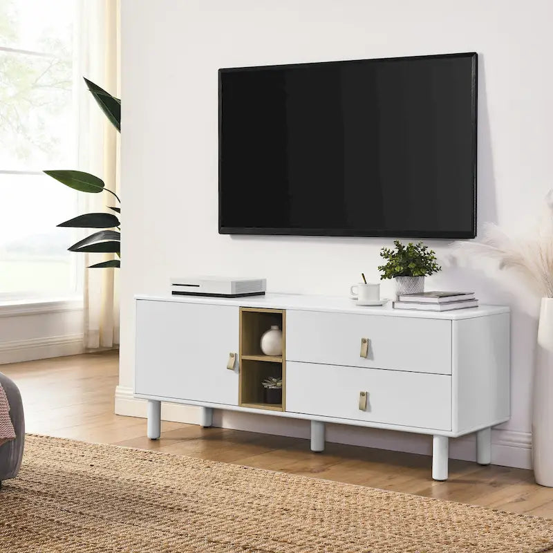 TV Cabinet with Door, Drawer & Wooden Storage — Leather Handle