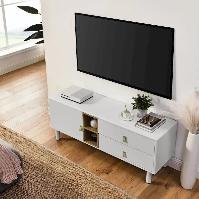 TV Cabinet with Door, Drawer & Wooden Storage — Leather Handle