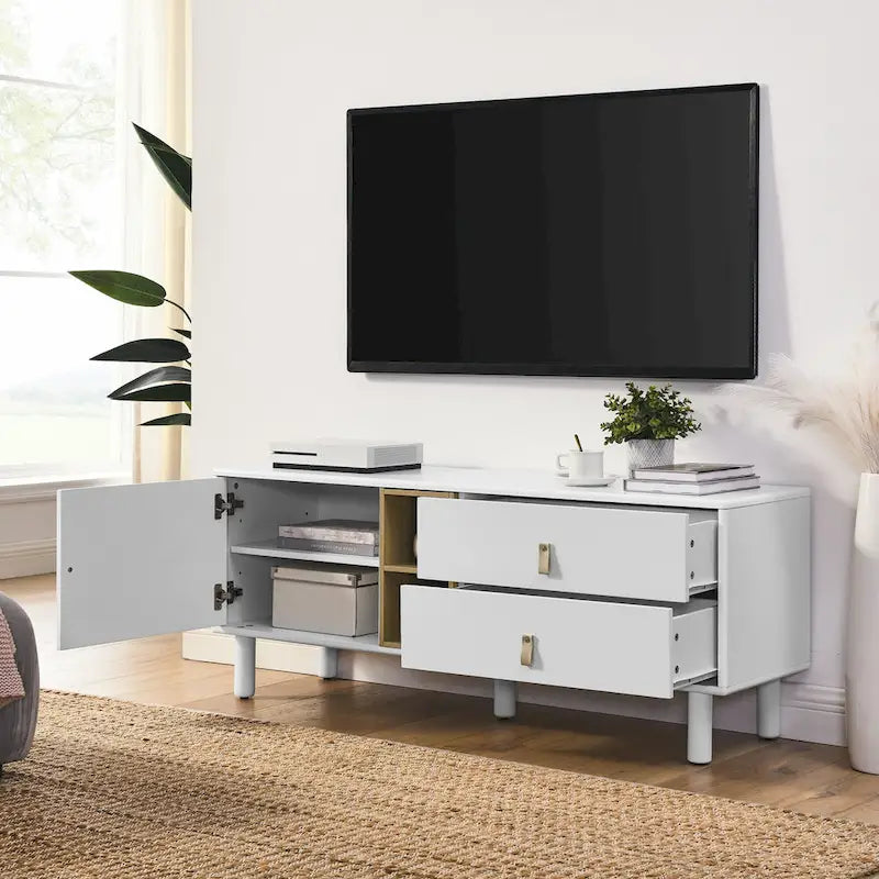 TV Cabinet with Door, Drawer & Wooden Storage — Leather Handle